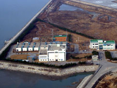 ��ϻ���� ����