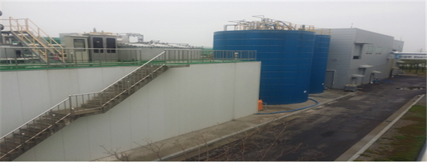 ������Ȳ